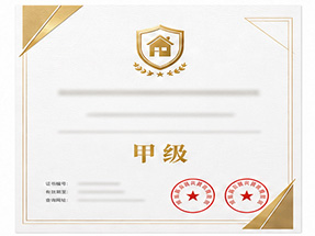 靖西市绿色环保推广产品荣誉证书